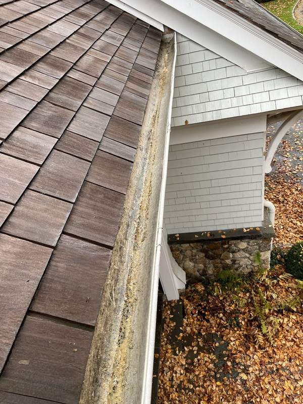Gutter Cleaning